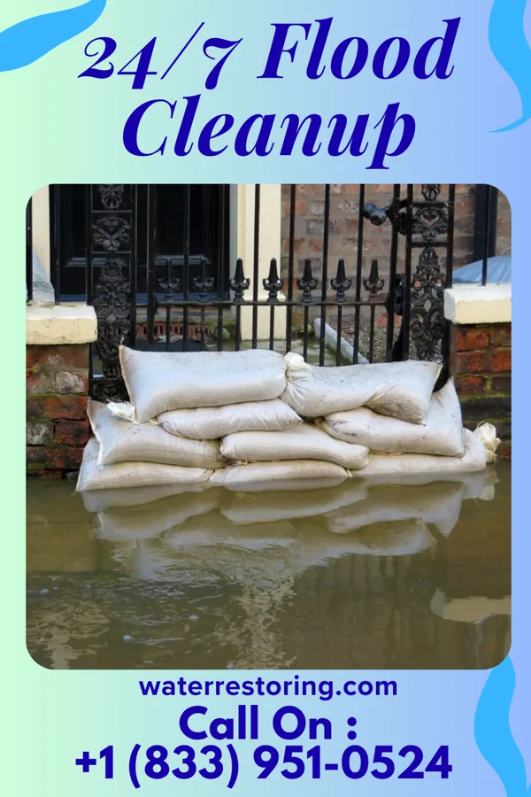 24/7 Flood Cleanup in Lexington, MI