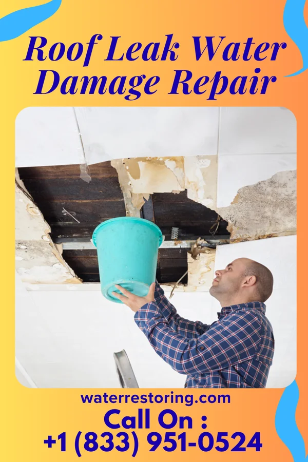 Roof Leak Water Damage Repair in Lexington, MI
