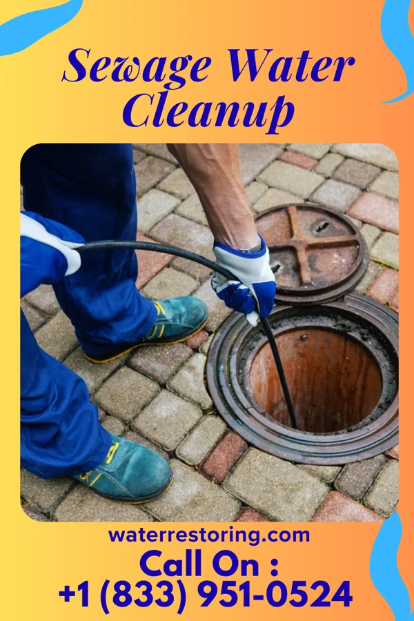 Sewage Water Cleanup in Lexington, MI